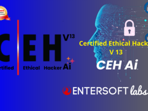 Best Certified Ethical hacker Ai course in Hyderabad..png